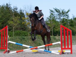 IMG_0577_web